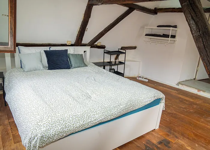 Stylish 2Br &1Lr Apt, Prime Belgian Location