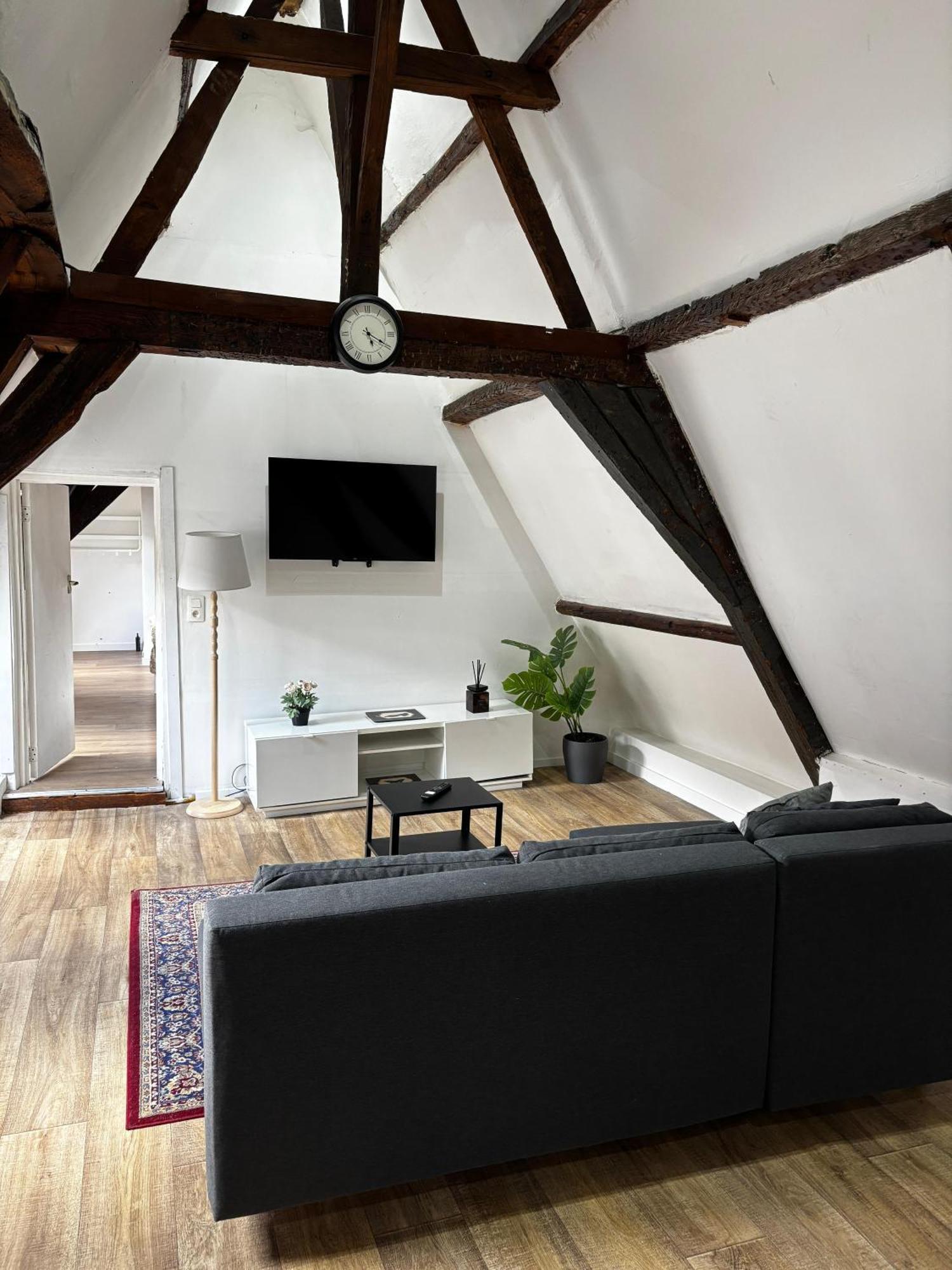 Stylish 2br &1lr Apt, Prime Belgian Location Appartement Gent