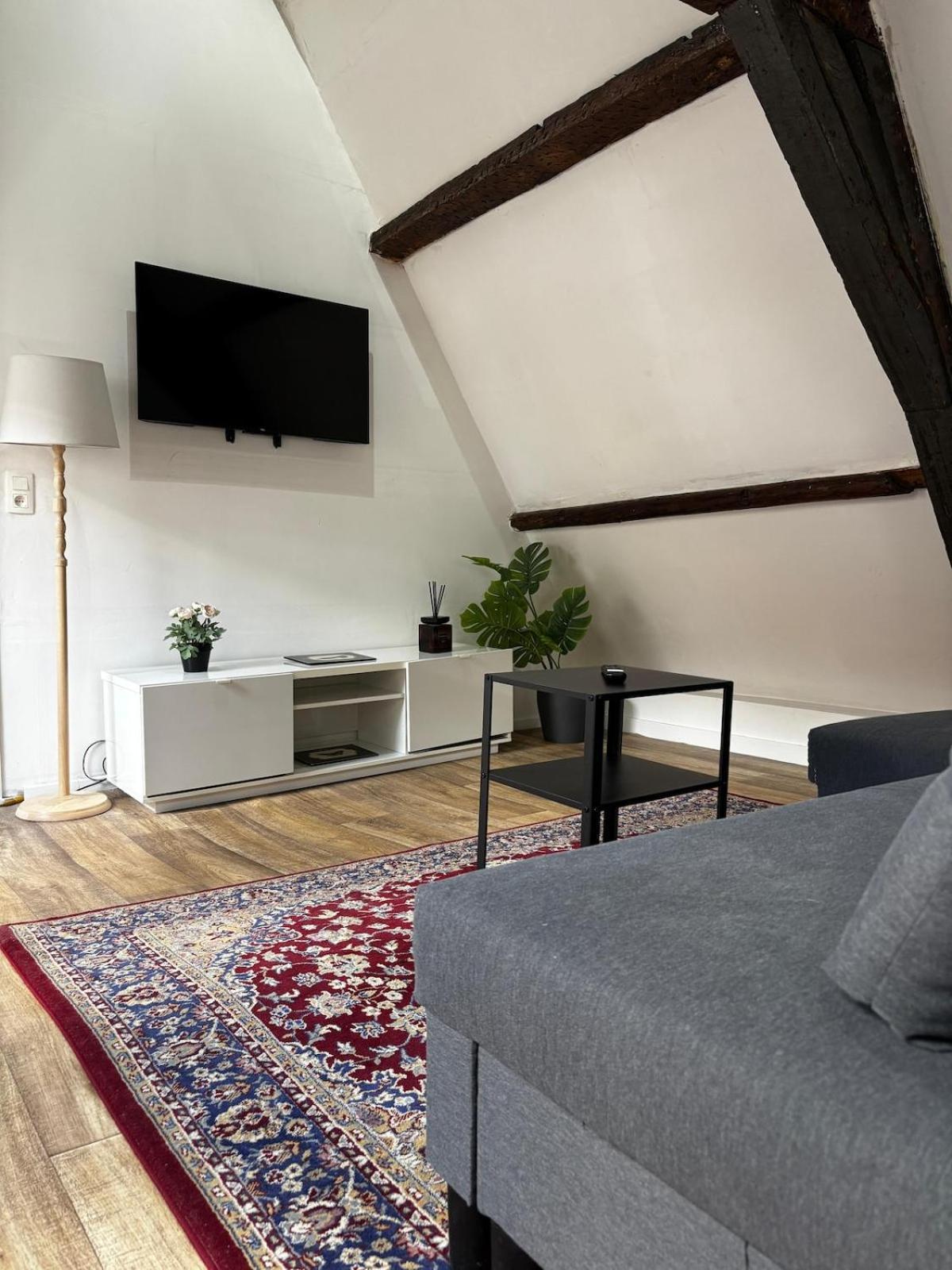 Stylish 2br &1lr Apt, Prime Belgian Location Appartement Gent